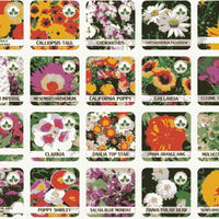 Buy Varieties of Flower Seeds (Pack of 100) And Get Plant Growth Supplement Free