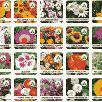 Buy Varieties of Flower Seeds (Pack of 100) And Get Plant Growth Supplement Free